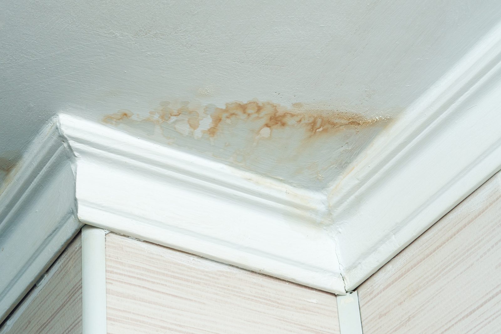 Brown water stain on a ceiling above crown molding